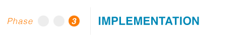 2013 Medexi process graphic: Phase 3 Implementation
